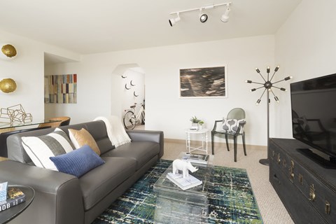 a living room with a gray couch and a green rug