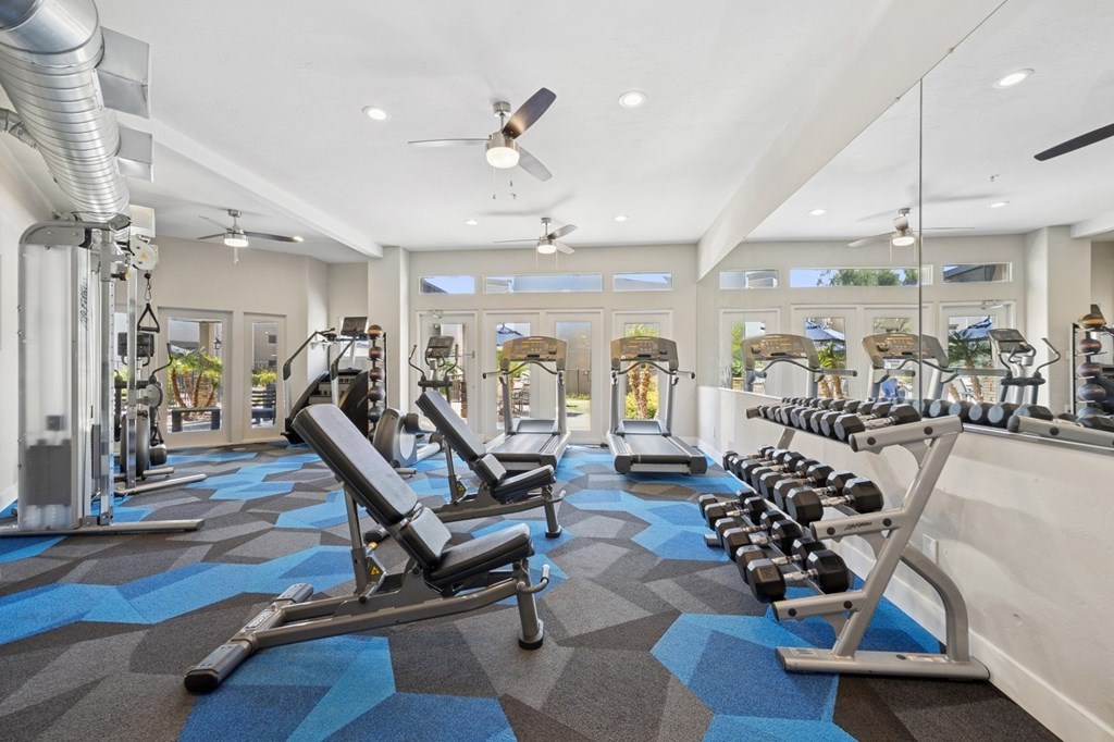 A gym with a variety of equipment including weights and benches.