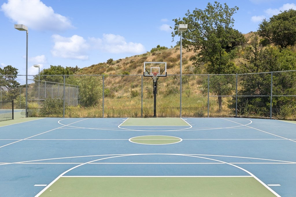 basketball hoop and a goal