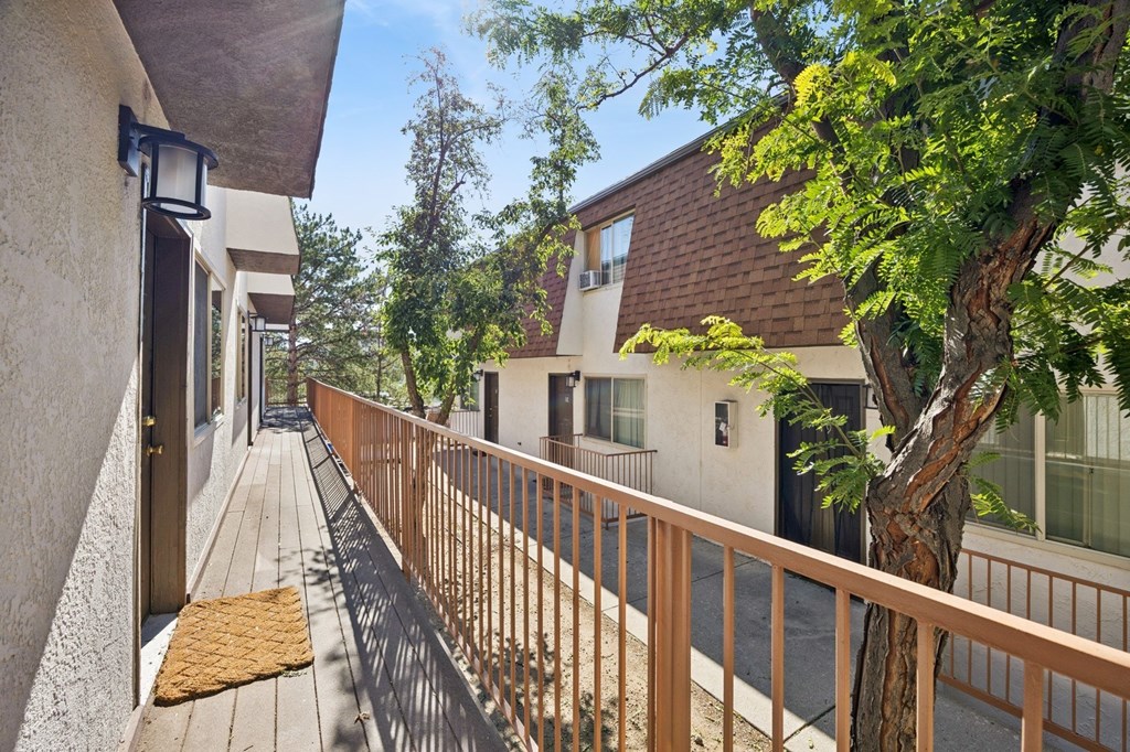 A tree is in front of a building.