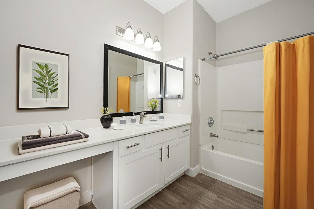 A bathroom with a white countertop and a mirror above it.
