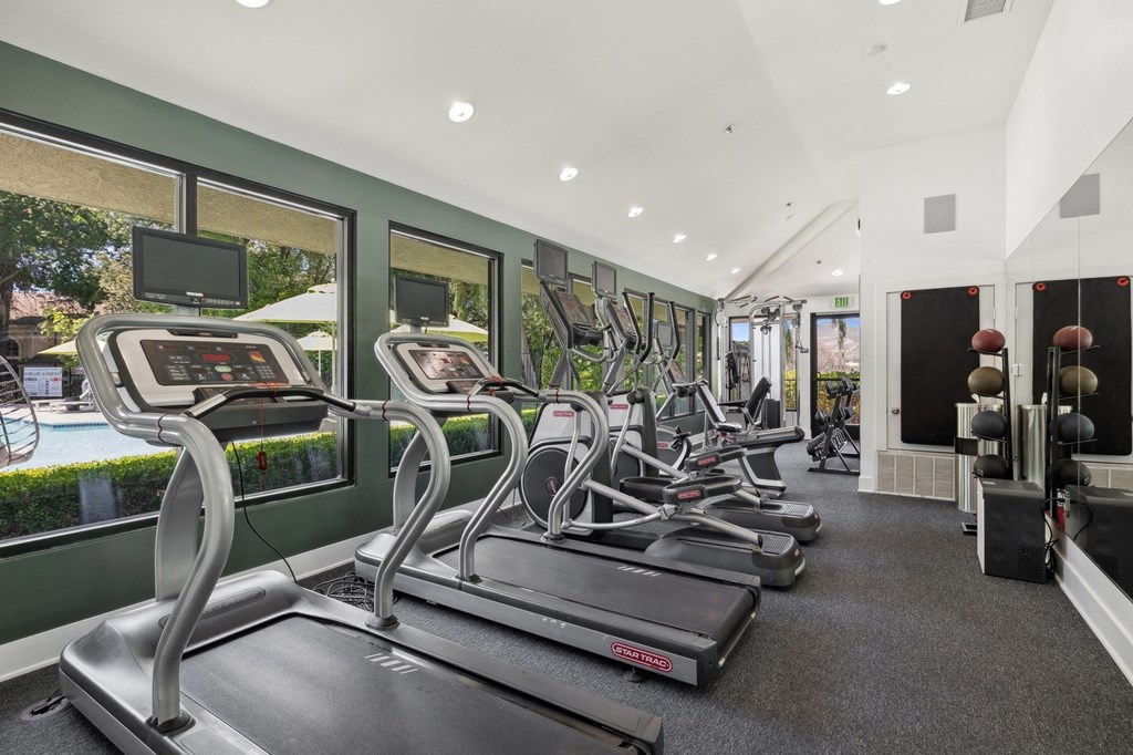 a gym with rows of cardio equipment and windows