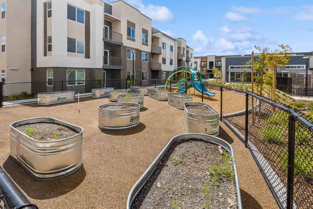 Community garden at Brix 325