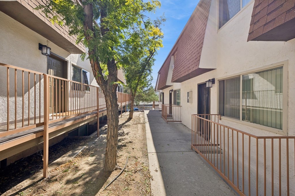 A tree in front of a building with a balcony.