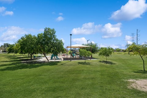 a park with a playground and trees on a sunny day