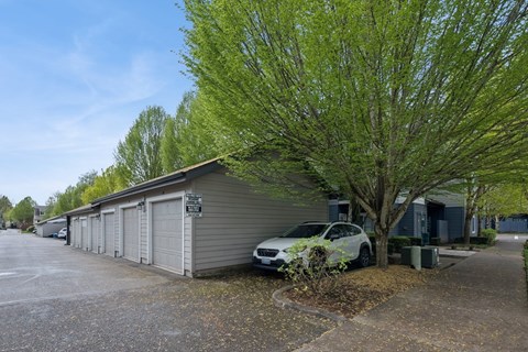 A parking lot with a tree and a building in the background.