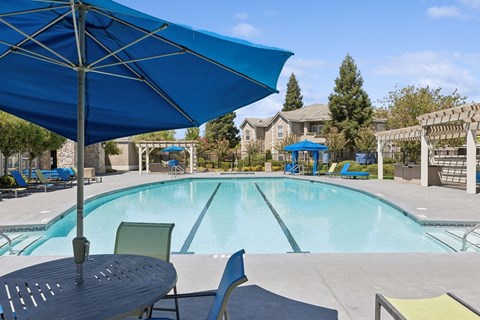 our apartments have a swimming pool with chairs and umbrellas