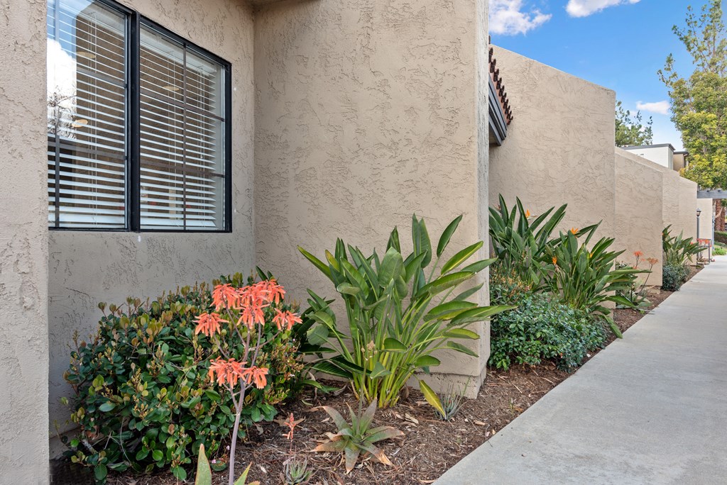 beautiful landscaping at Terrace Gardens Apartment Homes, Escondido