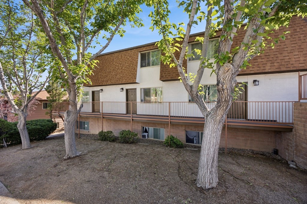 A tree stands in front of a building with a balcony.