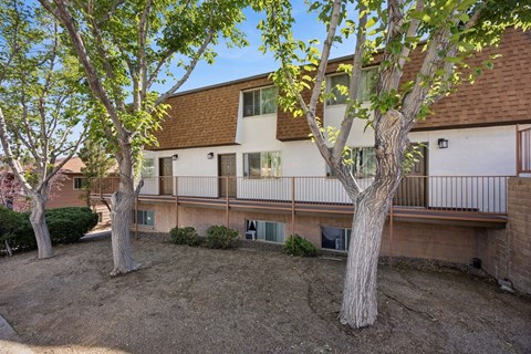 A tree stands in front of a building with a balcony.