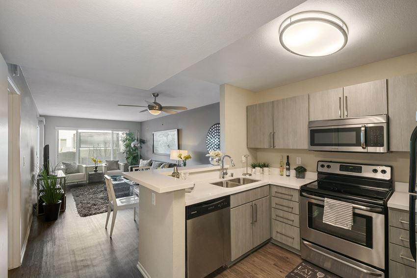 Kitchen View at Pine at 6th