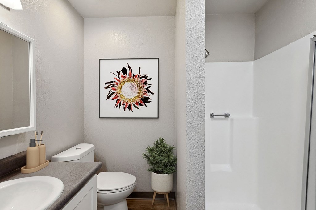 a bathroom with a toilet and a sink and a shower