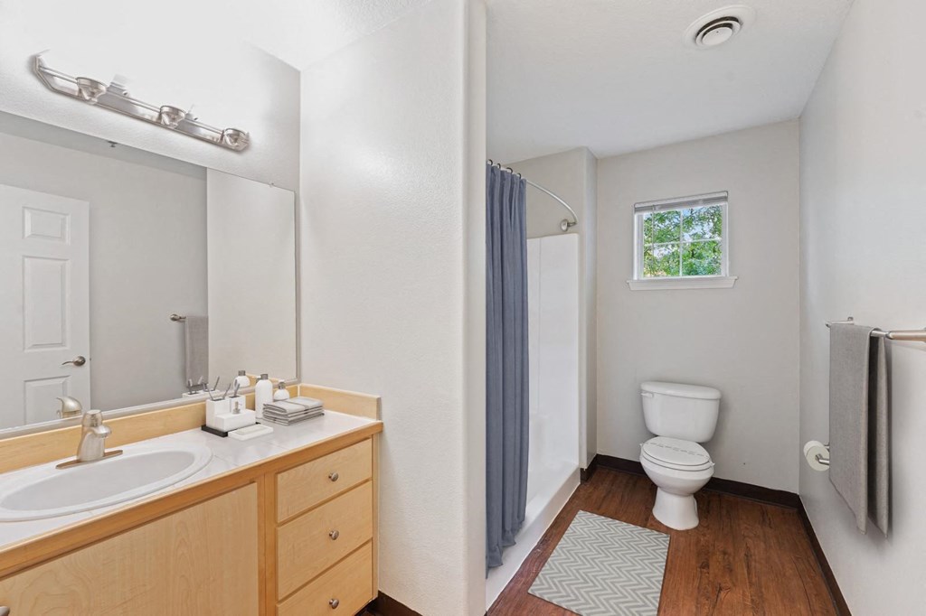 a bathroom with a sink and a toilet and a shower
