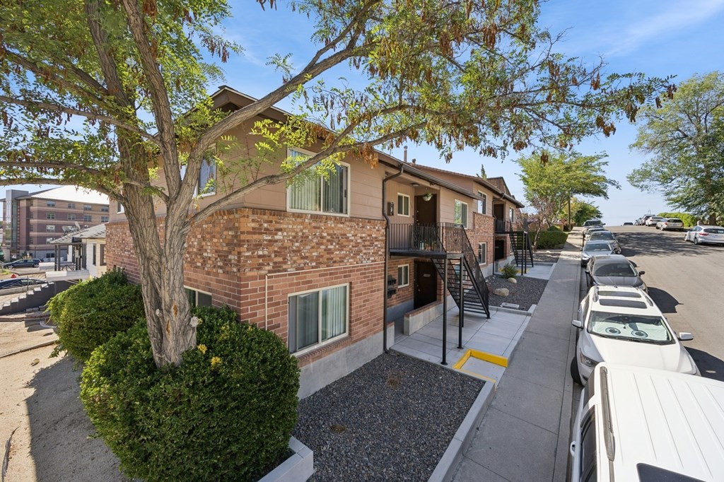A tree in front of a brick building with a parking lot in front of it.