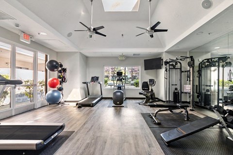 State Of The Art Fitness Center at Del Norte Place Apartment Homes, California