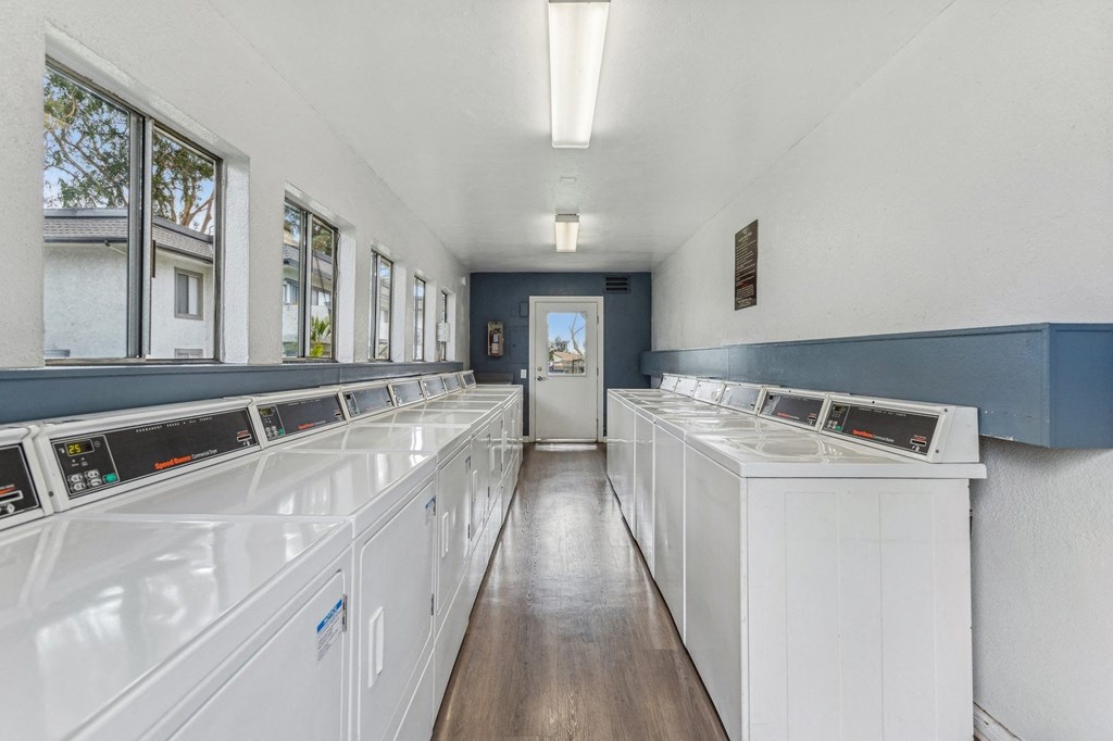 A laundromat with rows of washers and dryers.