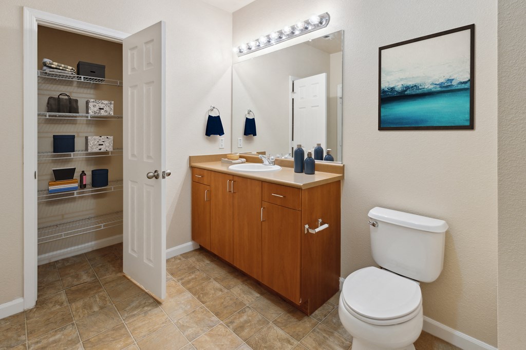 Bathroom counter at Waterstone Apartments
