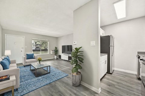 A modern living room with a blue rug and a glass coffee table.