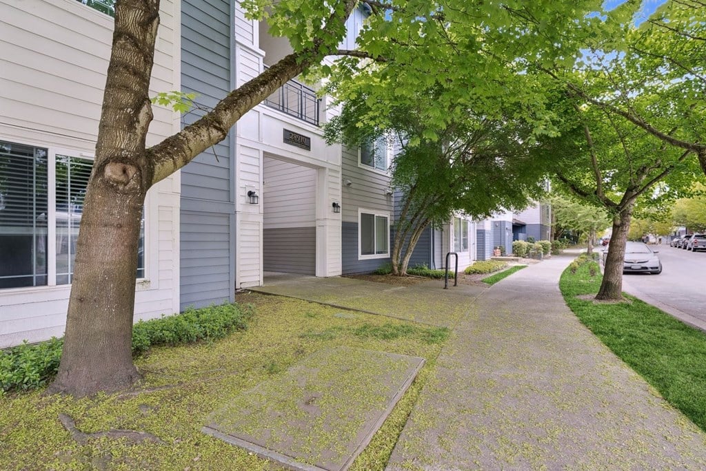A tree in front of a grey building.