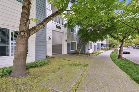 A tree in front of a grey building.