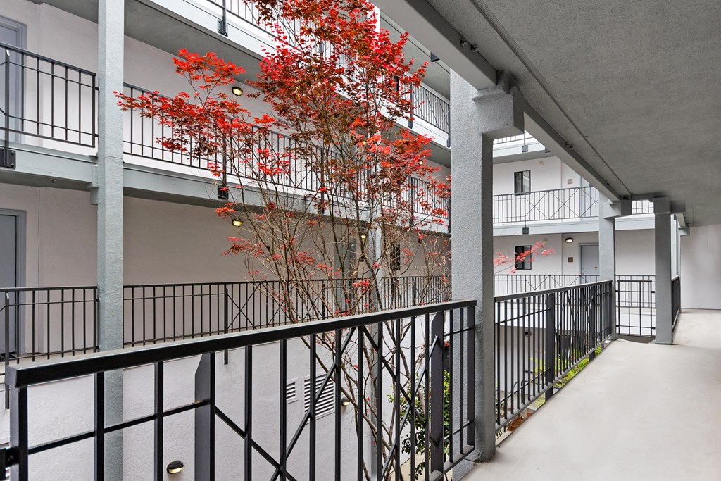 Patio Photo at Del Norte Place Apartment Homes