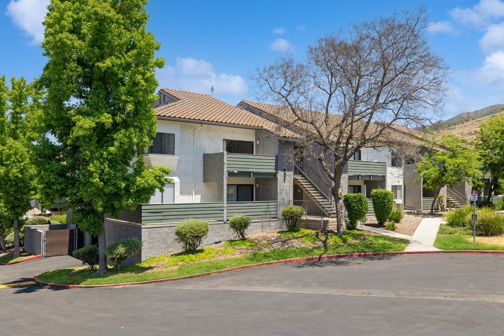 an empty street in front of an apartment building with trees