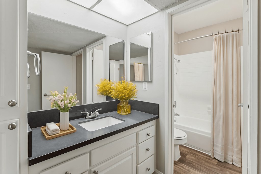 A bathroom with a sink, mirror, and toilet.
