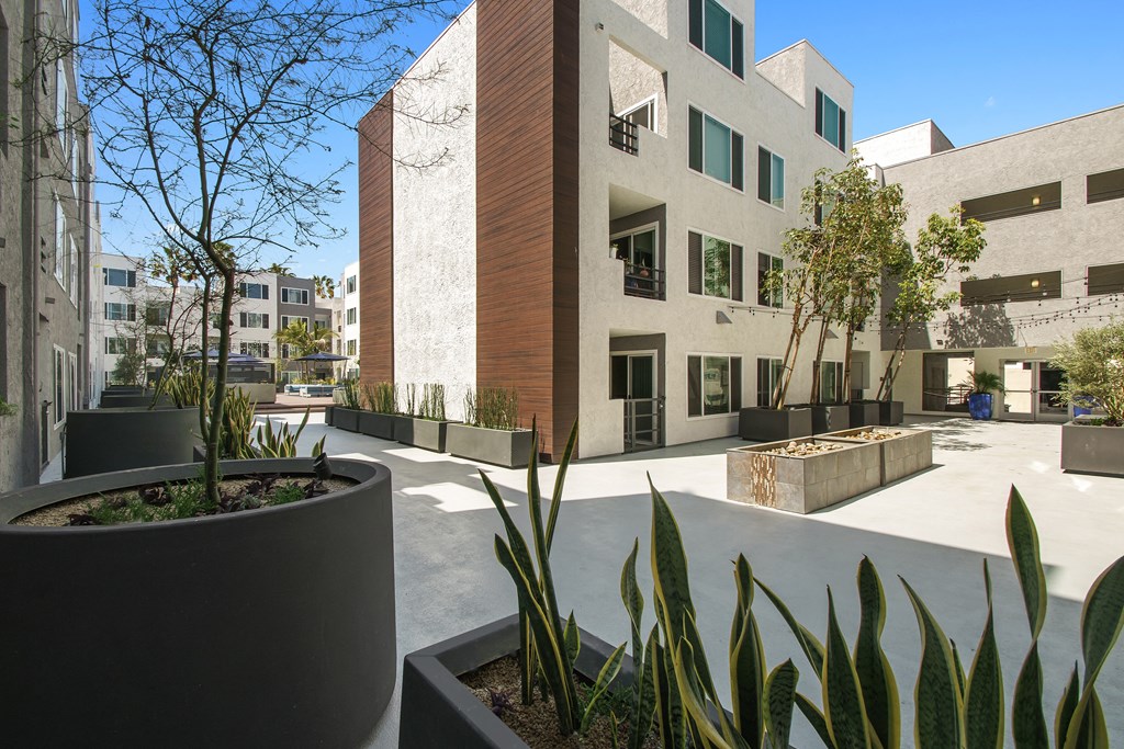 Outside Patio at Pine at 6th