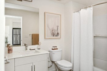 Large Bath with Tub at BRIX325 Apartments - Photo Gallery 18