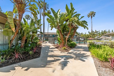 Pathway at Terramonte Apartment Homes