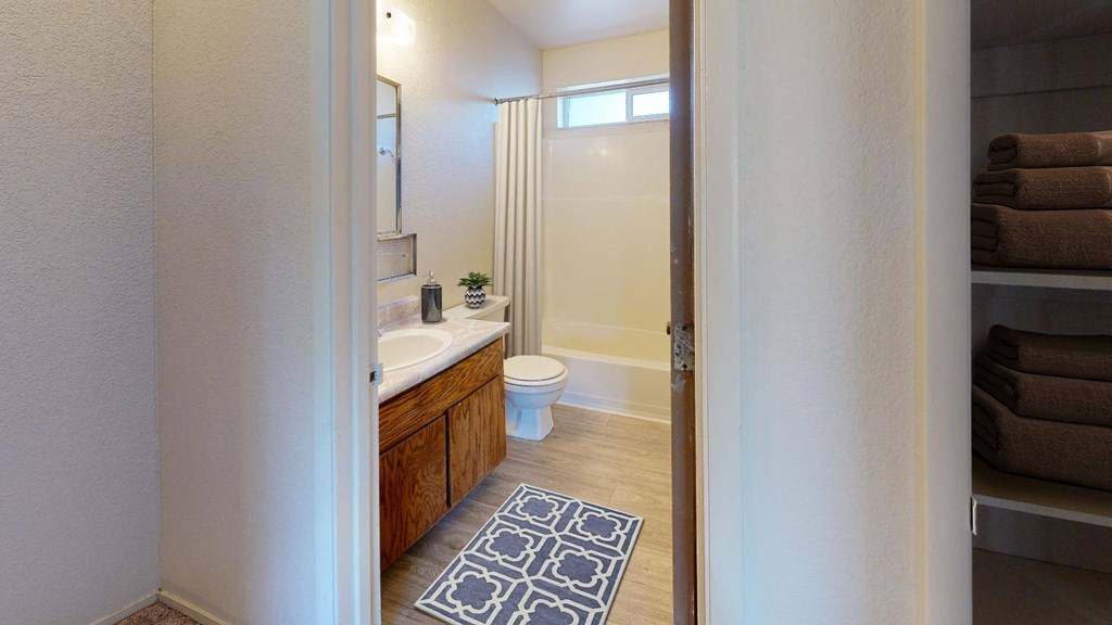 a bathroom with a sink and a toilet and a shower