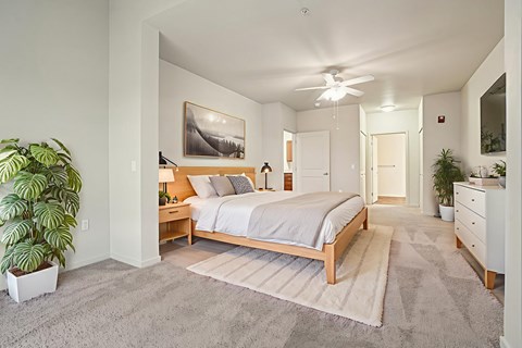 A bedroom with a bed, dresser, and ceiling fan.