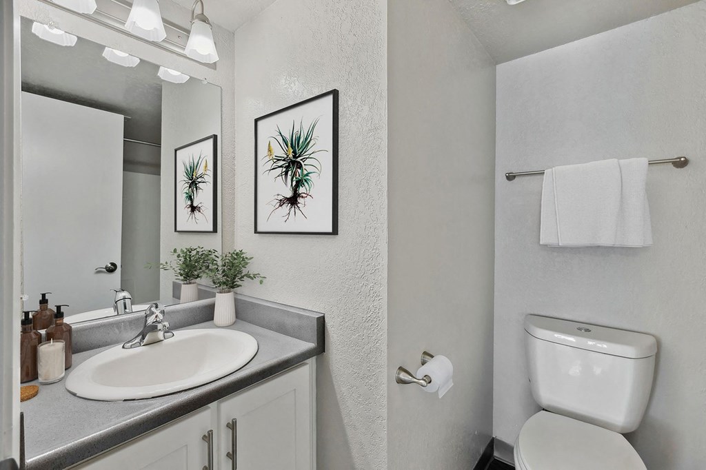 a bathroom with a sink and a toilet and a mirror