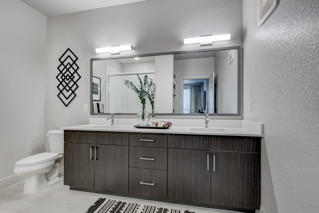 a bathroom with a sink and a toilet and a mirror