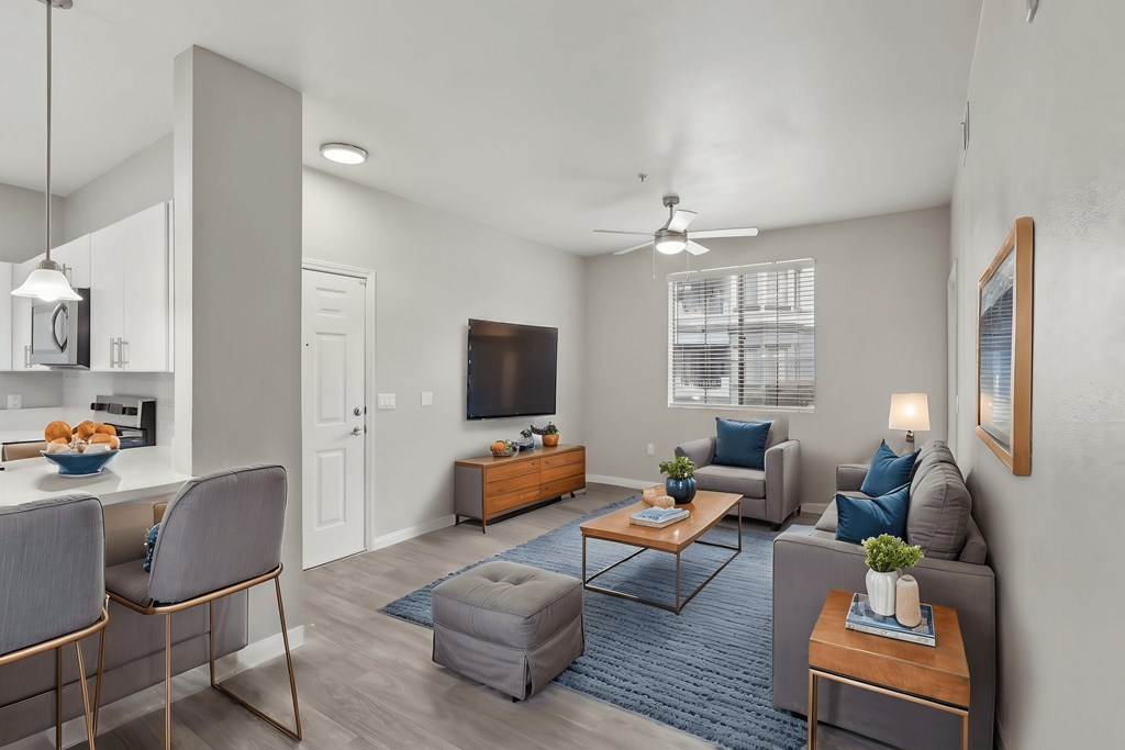 A living room with a grey couch, a coffee table, and a television.