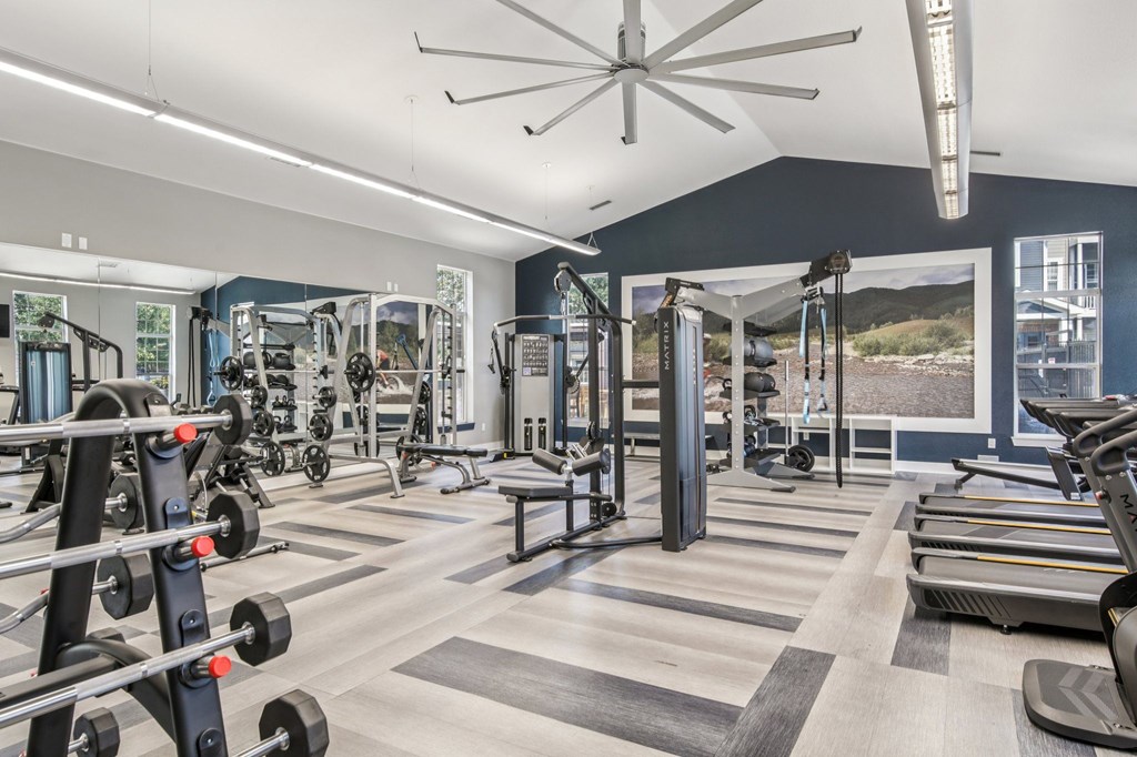 A gym with a variety of equipment including treadmills, weights, and a bench press.