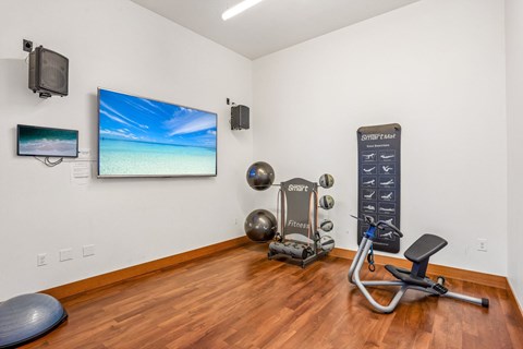 A home gym with a TV, weights, and exercise equipment.