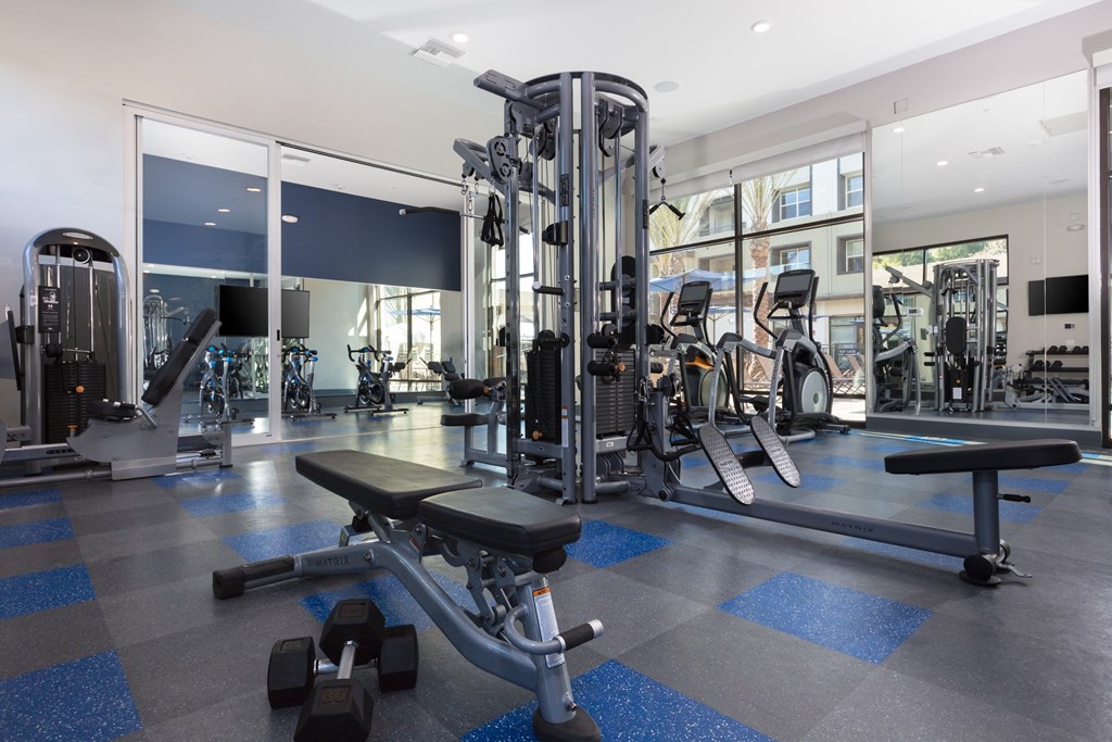 a gym with a lot of exercise equipment and a large window