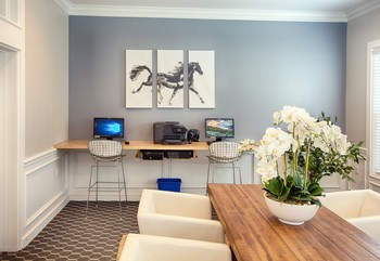 Resident Computer Lounge at Stone Cliff Apartments - Photo Gallery 26