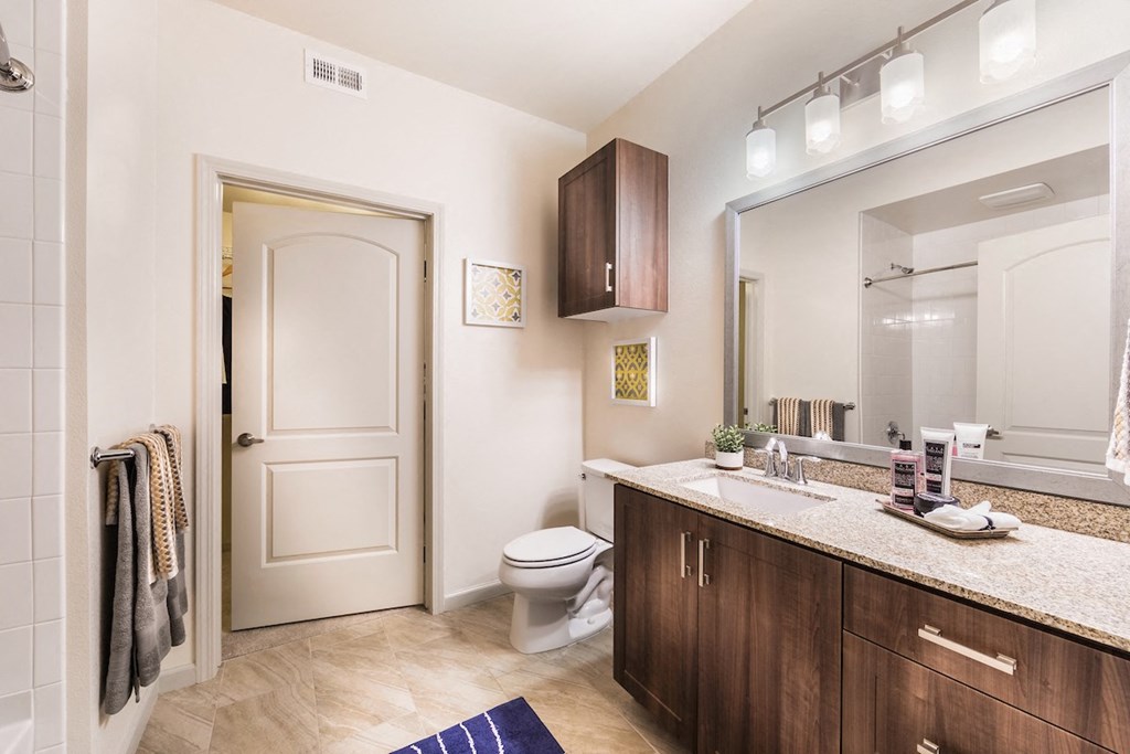 Bathroom Model at Andorra Apartments