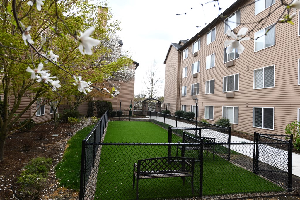 Outdoor Dog Park at Axcess Apartments Oregon