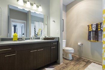 Custom Vanity Lighting Custom Vanity Lighting at Thorncroft Farms Apartments, Oregon, 97124 - Photo Gallery 6