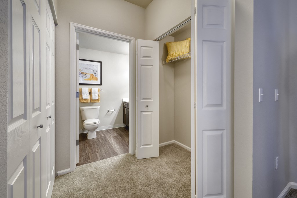 a bathroom with a toilet and a closet