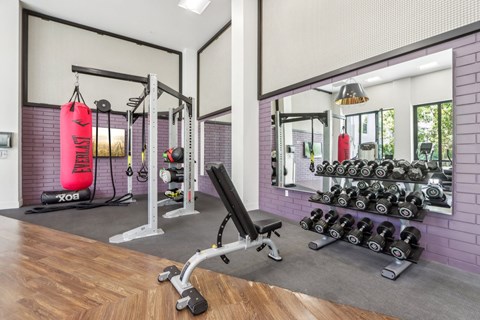 fitness center with weights and a red punching bag