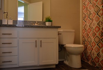Bathroom at Canyon Villa Apartments, Chula Vista, CA