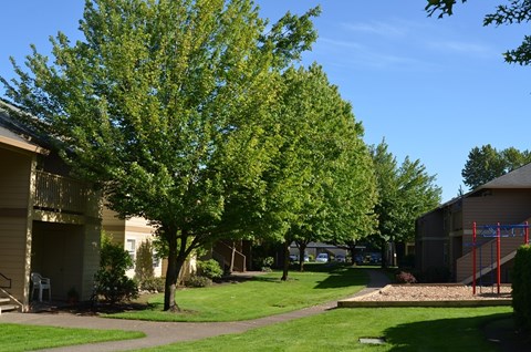 A tree in a grassy area in front of a building.