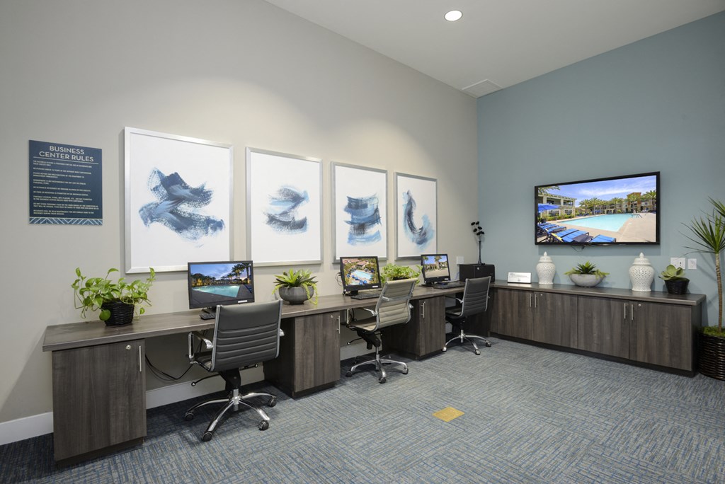 E-Lounge with High-Speed Internet at Preserve at Melrose, California, 92083