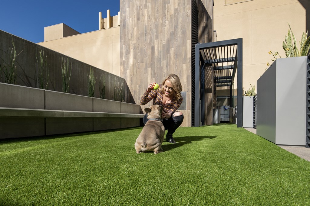 a woman is playing with her dog on the grass