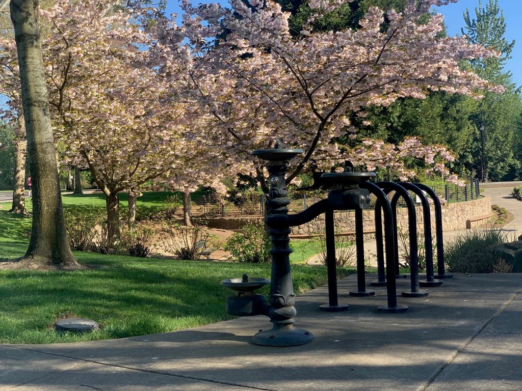 Green Space With Monument at Domaine at Villebois, Wilsonville, OR