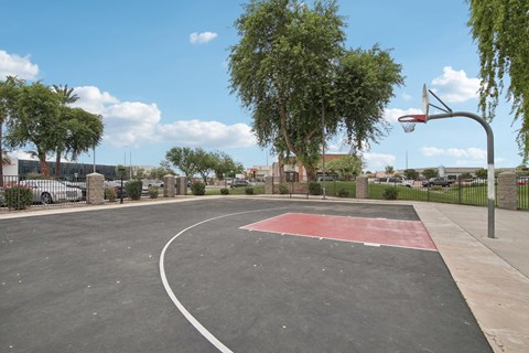 a basketball court in a park with trees